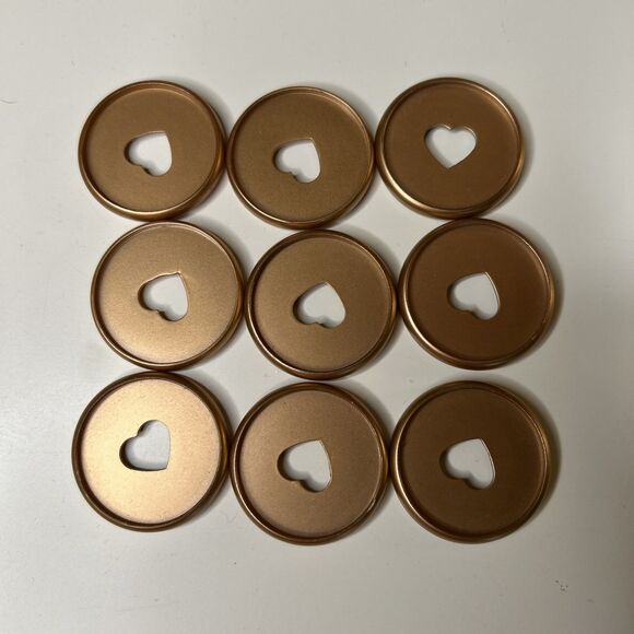 Planner Discs Gold 9 for Classic Happy Planner - Picture 1 of 4